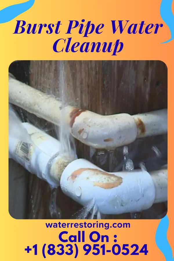 Burst Pipe Water Cleanup in Staint Clair, PA