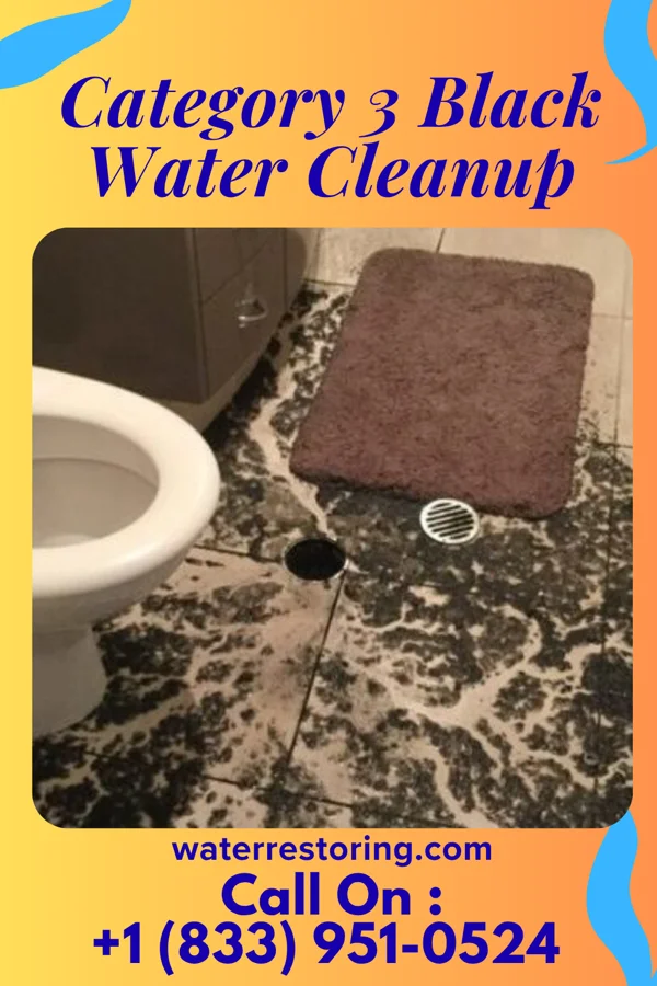 Category 3 Black Water Cleanup in Staint Clair, PA