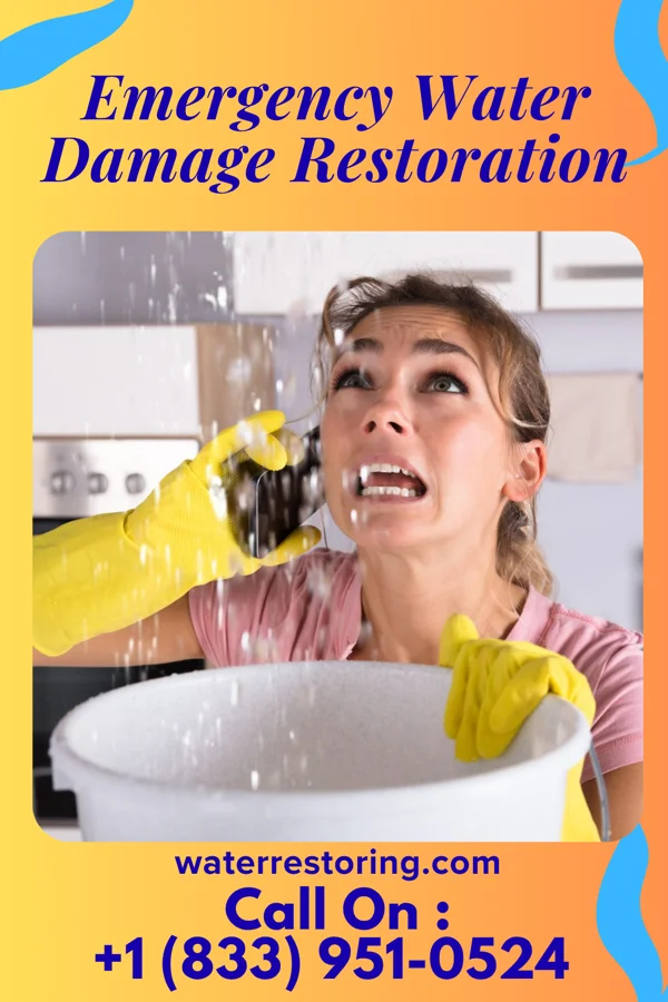 Emergency Water Damage Restoration in Staint Clair, PA