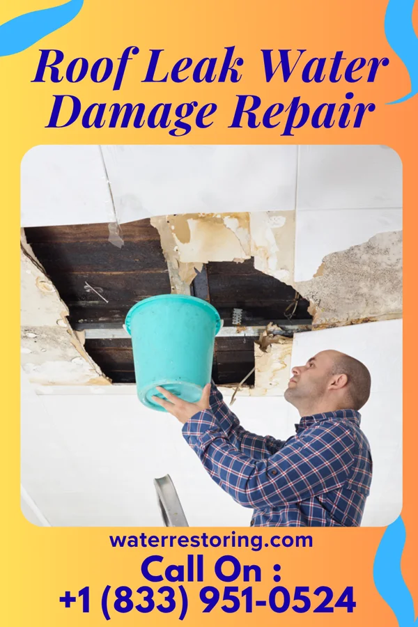 Roof Leak Water Damage Repair in Staint Clair, PA