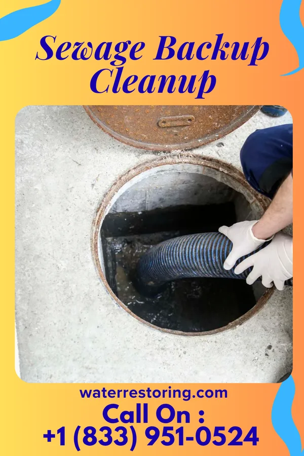 Sewage Backup Cleanup in Staint Clair, PA