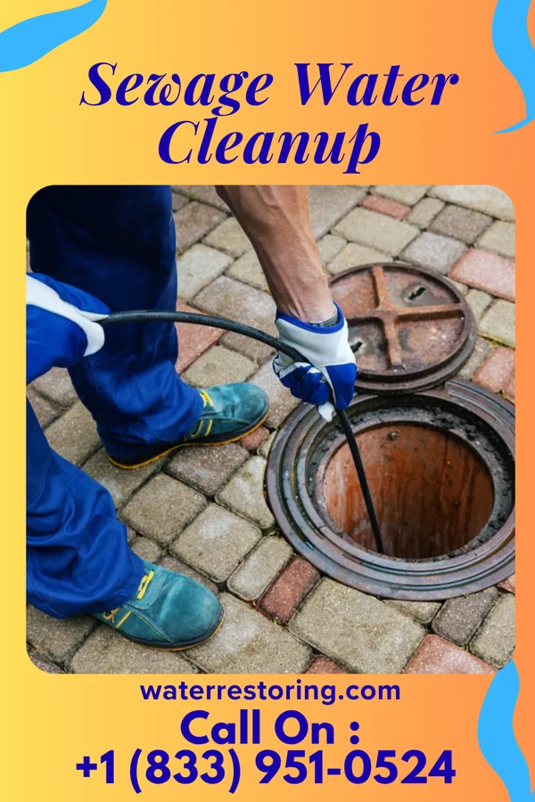 Sewage Water Cleanup in Staint Clair, PA