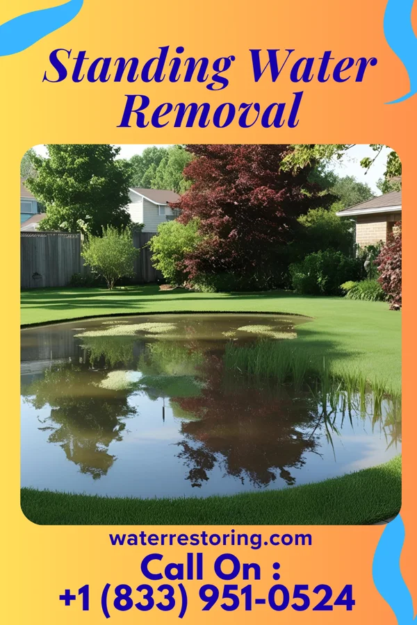 Standing Water Removal in Staint Clair, PA